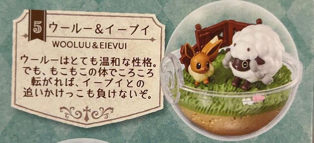 Eevee + Wooloo