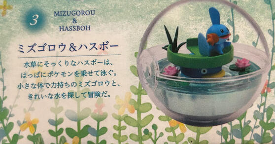 Lotad + Mudkip