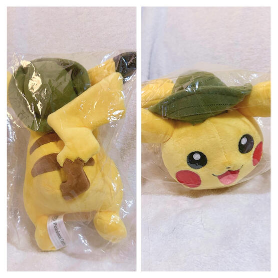 Safari Pikachu: $25