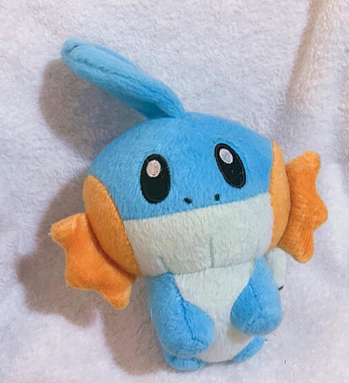 Mudkip: $10